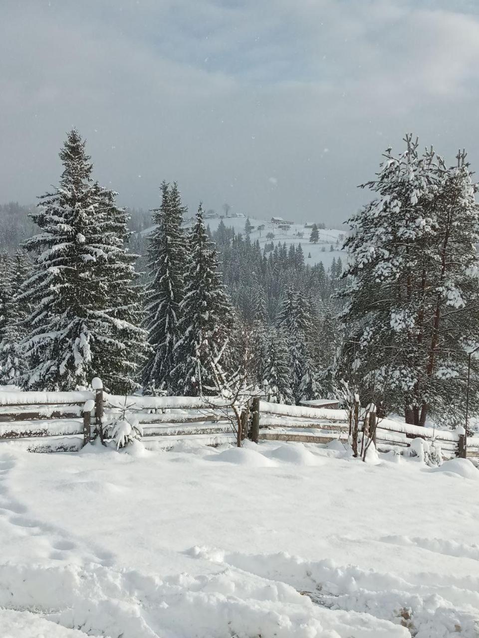 Ferienhaus зоряне небо *